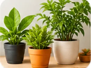 Plants & Gardening
